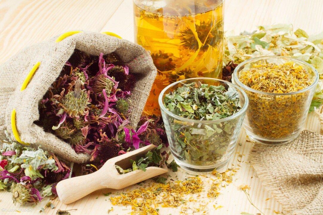 Medicinal herbs for traditional therapy of psoriasis on the elbows